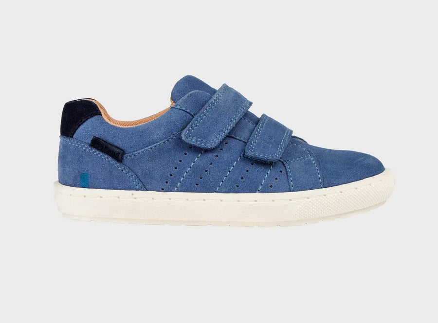 EDEN - Spring Ortholite Cobalt Blue Rip Tape Star Trainers ToeZone Footwear